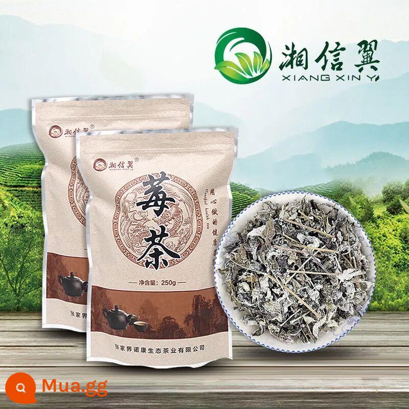 Berry Tea chính hãng đặc biệt hoang dã Zhangjiajie Dragon Steel Bud TIP 500G MOT TEA TEA YONGSHUN CAG - 500g trà lá non (không biết hãy hỏi bộ phận chăm sóc khách hàng)