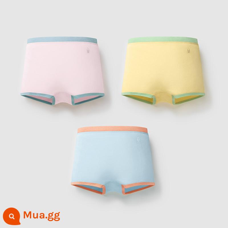 Chuối Quần Lót Trẻ Em 355C Cotton Kháng Khuẩn Boxer Quần Lót Bé Trai Màu Sắc Tương Phản Quần Lót Tam Giác Nữ 3 Cái - [Góc phẳng nữ] Hồng sáng + Vàng phô mai + Xanh muối biển