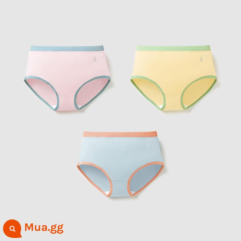 Chuối Quần Lót Trẻ Em 355C Cotton Kháng Khuẩn Boxer Quần Lót Bé Trai Màu Sắc Tương Phản Quần Lót Tam Giác Nữ 3 Cái - [Tam giác nữ] Hồng tươi + Vàng phô mai + Xanh muối biển