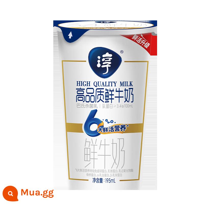 [Đơn hàng hàng ngày Weigang Nam Kinh] Chai sữa tươi thủy tinh 195ml - 195ml sữa tươi tiệt trùng chất lượng cao