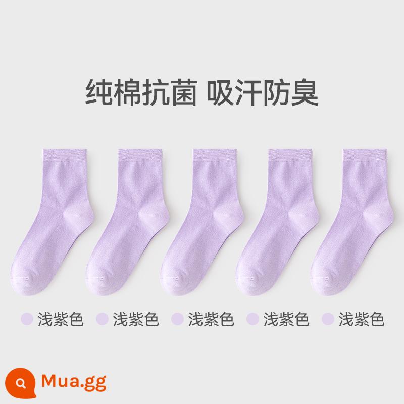 [5 Đôi] Tất Nữ Ống Giữa Mùa Thu Đông Nữ Cotton Nguyên Chất Kháng Khuẩn Màu Trắng Đơn Giản Tất Nữ Tất Khử Mùi Thấm Hút Mồ Hôi - Tím nhạt 5 đôi