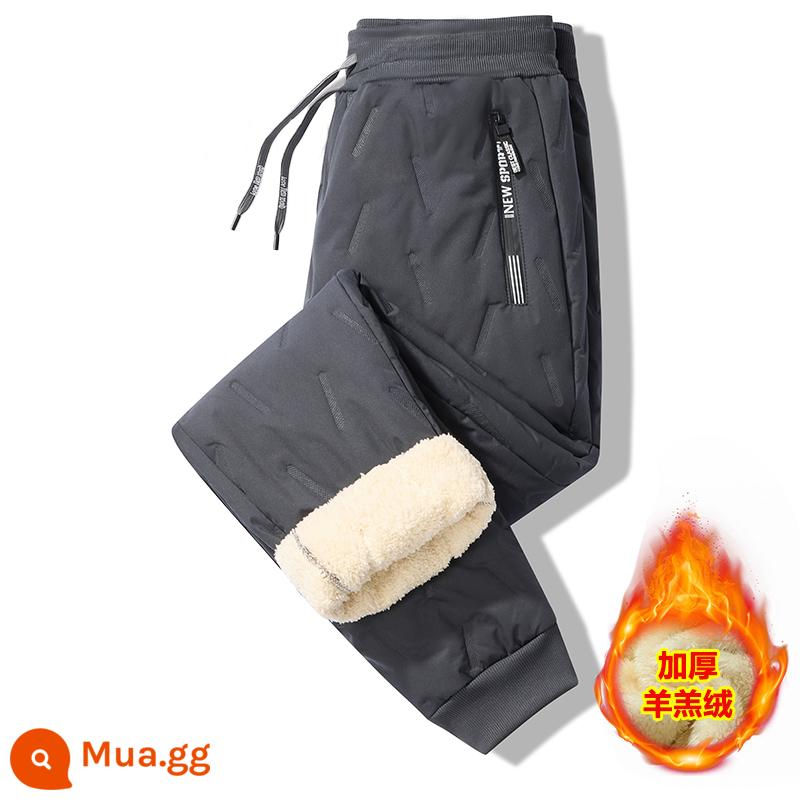 Quần Len Nam Mùa Đông Nhung Dày Quần Thể Thao Rời Quần Âu Mặc Ngoài Chống Gió Ấm Xuống Quần Cotton - Màu xám chân [Phong cách chống gió và chống nước mùa đông]