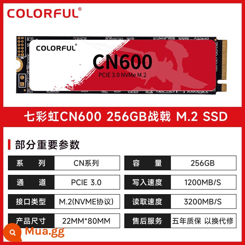 Ổ cứng thể rắn tốc độ cao CN600 M.2 đầy màu sắc 256G 512G 1T 2T SSD máy tính để bàn máy tính xách tay - CN600 Zhanji 256GB Guoxin hàng đầu