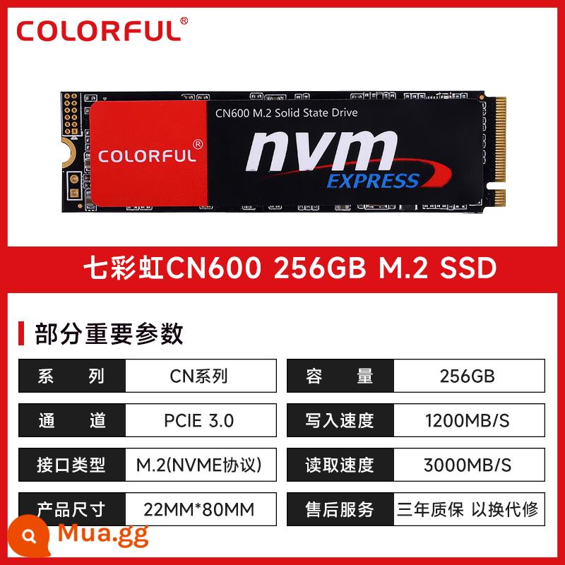 Ổ cứng thể rắn tốc độ cao CN600 M.2 đầy màu sắc 256G 512G 1T 2T SSD máy tính để bàn máy tính xách tay - CN600 256GB phiên bản tiêu chuẩn