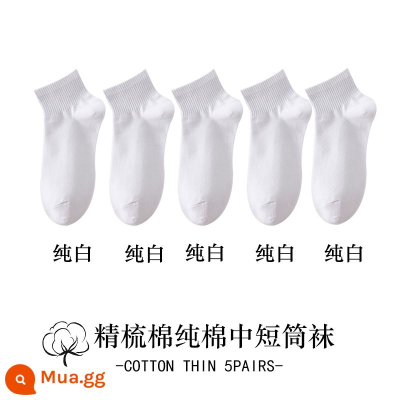 Vớ trắng nữ ống giữa mùa thu đông cotton nguyên chất khâu không xương hút mồ hôi khử mùi ống ngắn màu đen vớ nữ - [Phong cách ngắn] 5 màu trắng tinh khiết