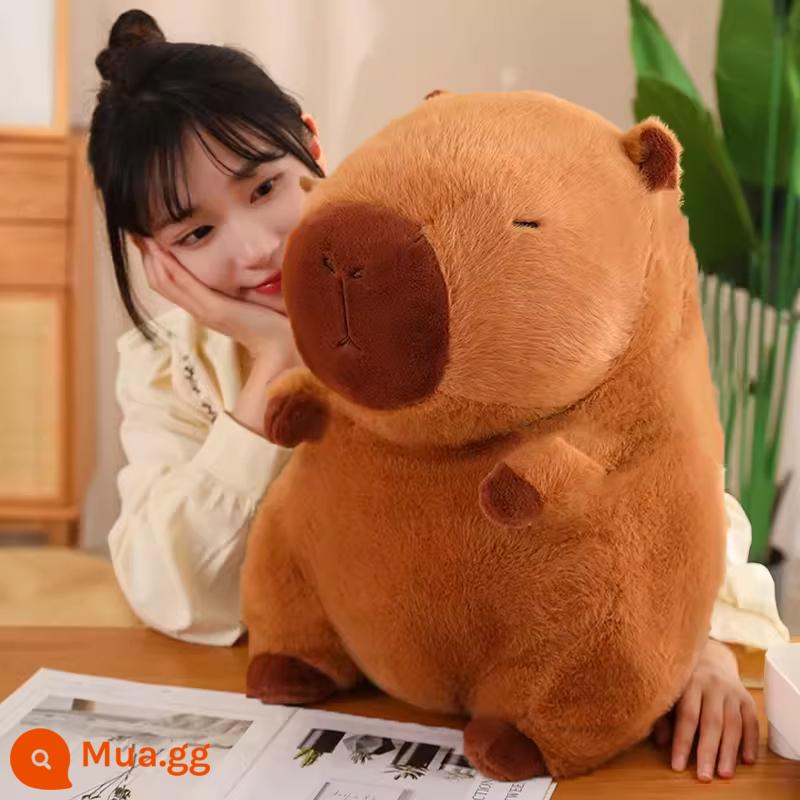 Búp bê Capybara đồ chơi sang trọng gối capybara mặt dây chuyền búp bê vải búp bê Capybara lap - Vị trí ngồi 55 cm