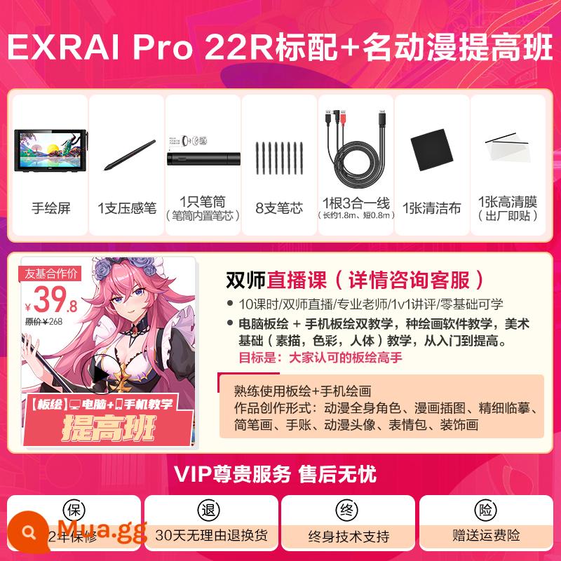 Youji EXRAI pro 22R màn hình kỹ thuật số vẽ tay màn hình máy tính tranh màn hình vẽ màn hình LCD chữ viết tay màn hình HD - EXRAI Pro 22R Standard Edition + Khóa học cải tiến anime nổi tiếng