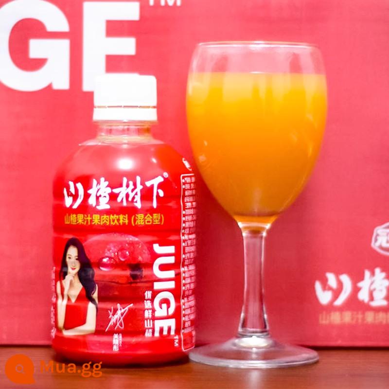 [Chứng thực của Quan Hiểu Đồng] Nước ép táo gai Guanfang Chai lớn 1,25L Đồ uống khai vị 350ml * 15 Chai - 350ml * 2 chai