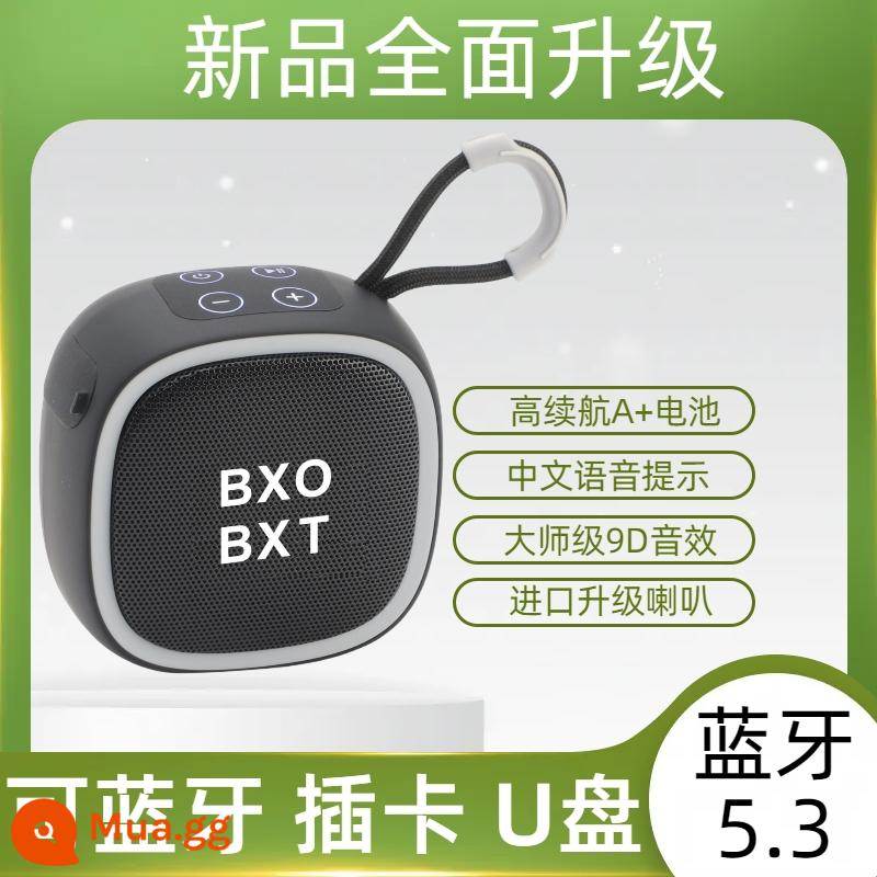 Loa Bluetooth không dây mini Thẻ di động ngoài trời Loa siêu trầm đĩa U Loa nhỏ gọn có thể sạc lại Type-C - Cool Black (phiên bản Trung Quốc nâng cấp + hiệu ứng âm thanh vòm 9D)