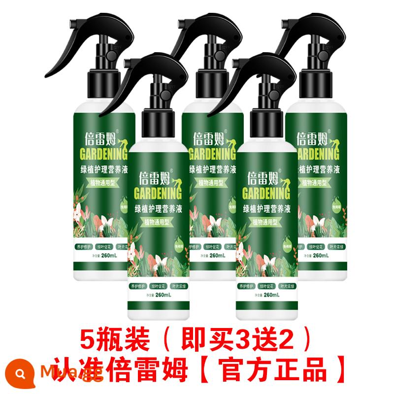 Guanghuan Berem dung dịch dinh dưỡng chăm sóc hoa lỏng cửa hàng tự vận hành Daqiao Berem Berem Giang Đông Beberem - 5 chai Dung Dịch Dinh Dưỡng Berem (Mua 3 Tặng 2)