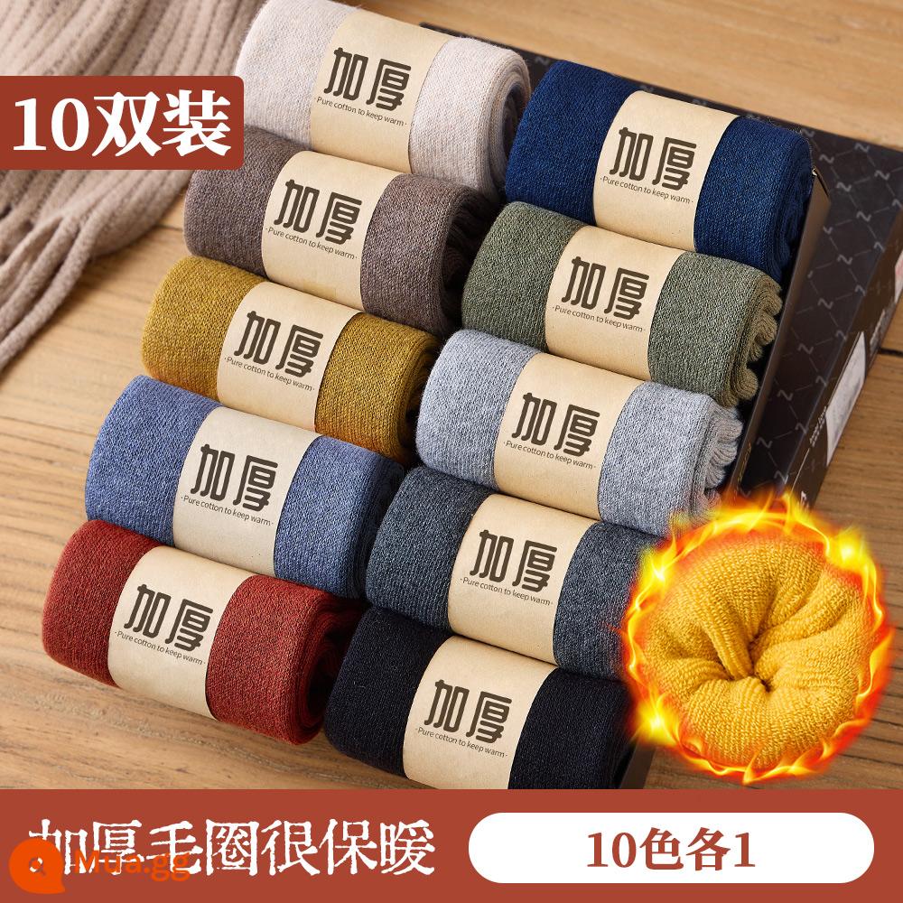 Tất nam giữa bắp chân tất mùa thu đông nhung dày tất len ​​ấm áp mùa đông dày cotton siêu dày nữ - 10 đôi: mỗi đôi 10 màu