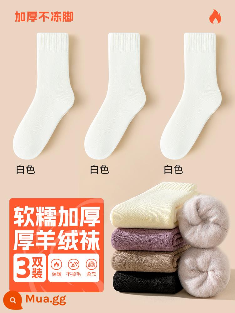 Tất nam giữa bắp chân tất mùa thu đông nhung dày tất len ​​ấm áp mùa đông dày cotton siêu dày nữ - 3 đôi tất len ​​nữ: 3 đôi trắng