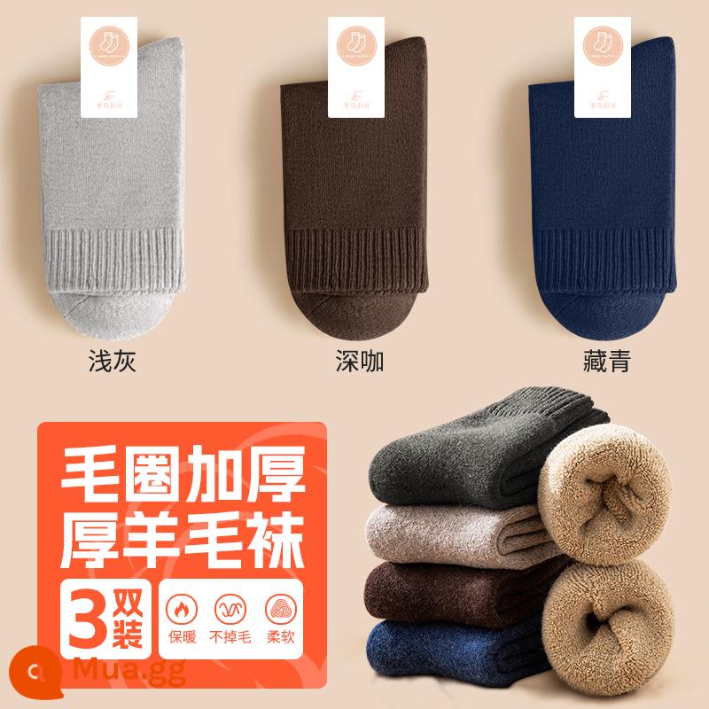 Tất nam giữa bắp chân tất mùa thu đông nhung dày tất len ​​ấm áp mùa đông dày cotton siêu dày nữ - 3 đôi tất len ​​nam: navy + xám nhạt + cà phê