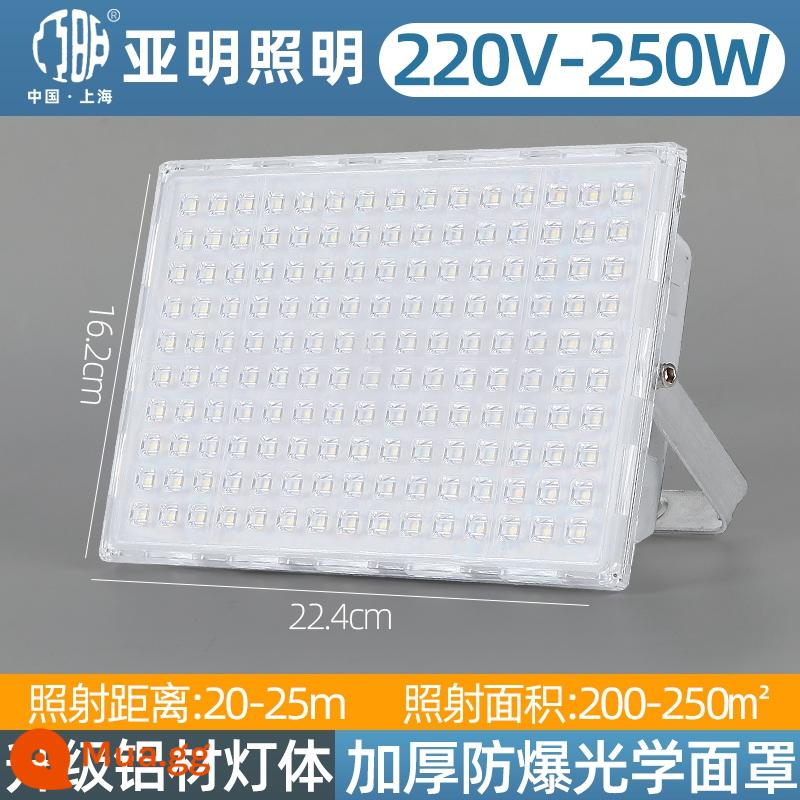 Đèn pha LED chiếu sáng ngoài trời đèn định vị kiến ​​ánh sáng mạnh siêu sáng nhà máy xưởng công trường xây dựng ánh sáng chôn vùi quảng cáo chống thấm nước tiêu điểm - Đèn pha siêu sáng Yaming (có sẵn trong mười năm) -250W