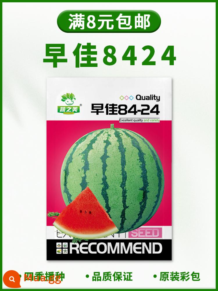 Hạt giống rau bốn mùa gieo ban công trang trại chậu rau muống rau muống xà lách tỏi tây hẹ hạt giống dâu hoàn thành bộ sưu tập - Dưa hấu Zaojia 8424 [khoảng 30 miếng]