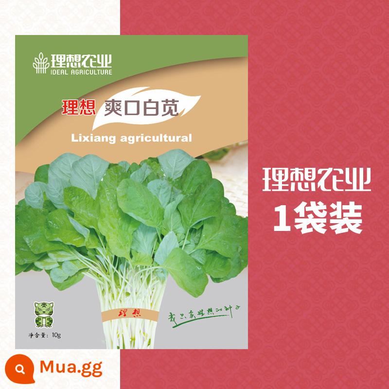 Hạt dền, hạt dền đỏ, hạt dền đỏ nguyên hạt, danh sách đầy đủ các loại rau trồng tại trang trại Trung Quốc được trồng trong tất cả các mùa - 1 gói [Dền trắng giải khát] 10g