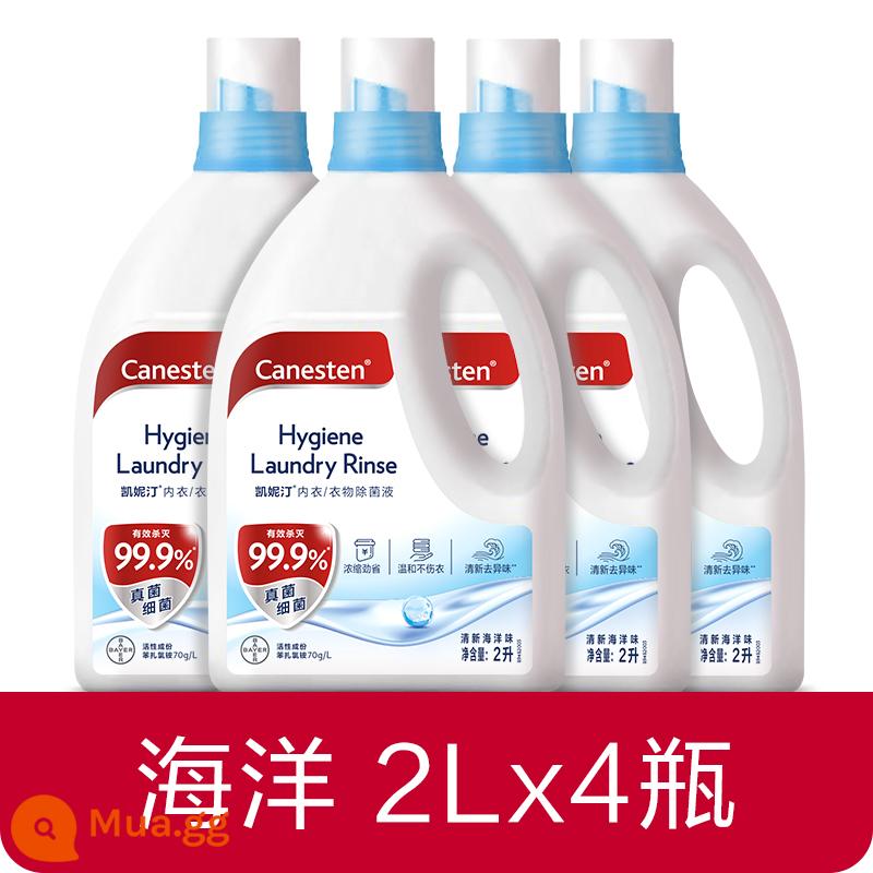 [Bee Wish Club] Dung dịch khử trùng và khử trùng quần áo Bayer Canesten, Đặc biệt dành cho giặt ủi, Nhiều thông số kỹ thuật - [4 chai] Hương vị biển-gói 2L