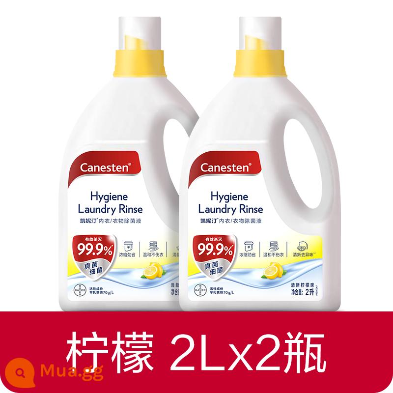 [Bee Wish Club] Dung dịch khử trùng và khử trùng quần áo Bayer Canesten, Đặc biệt dành cho giặt ủi, Nhiều thông số kỹ thuật - [2 Chai] Hương chanh-Gói 2L