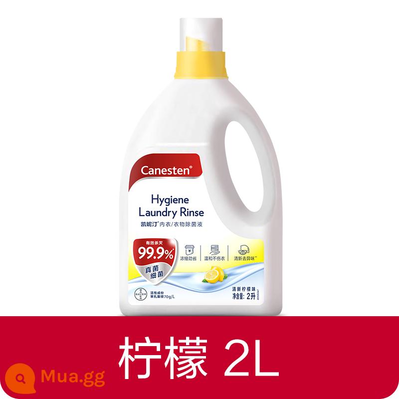 [Bee Wish Club] Dung dịch khử trùng và khử trùng quần áo Bayer Canesten, Đặc biệt dành cho giặt ủi, Nhiều thông số kỹ thuật - Hương chanh-gói 2L