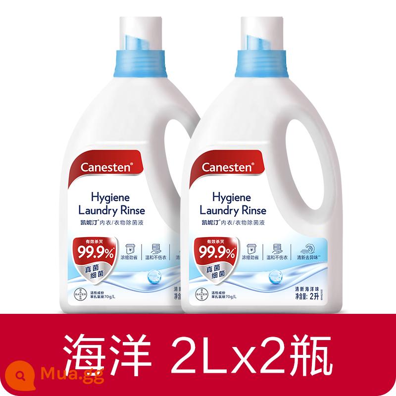 [Bee Wish Club] Dung dịch khử trùng và khử trùng quần áo Bayer Canesten, Đặc biệt dành cho giặt ủi, Nhiều thông số kỹ thuật - [2 Chai] Hương Vị Đại Dương-Gói 2L