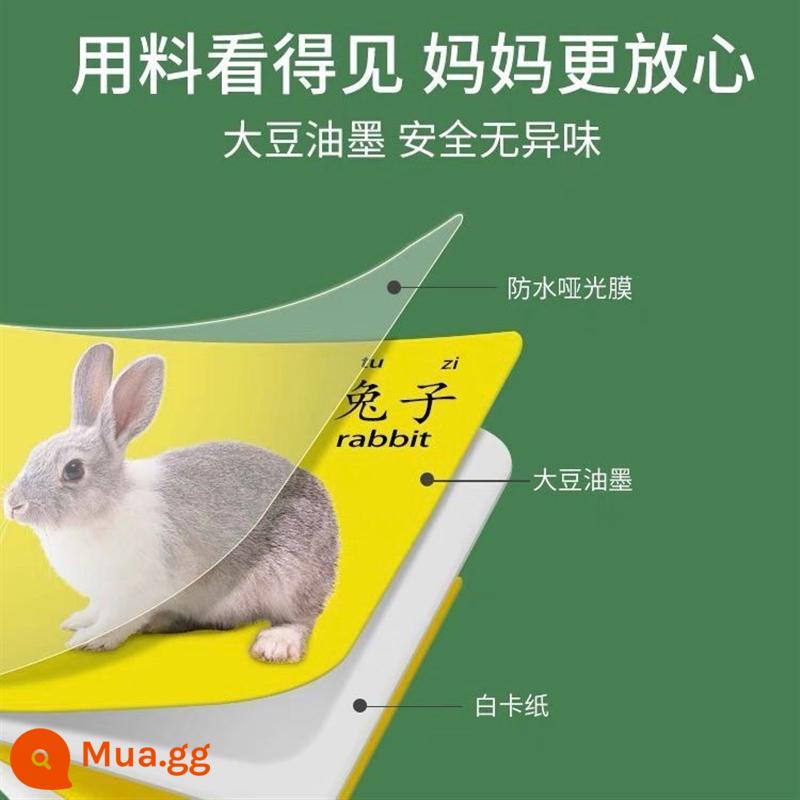 Thẻ động vật nhận thức giáo dục sớm giác ngộ cuốn sách trẻ em một tuổi đồ chơi giáo dục bé biết chữ để xem hình ảnh và đồ vật - Số lượng lớn: một thẻ ngẫu nhiên [thẻ lớn dày]