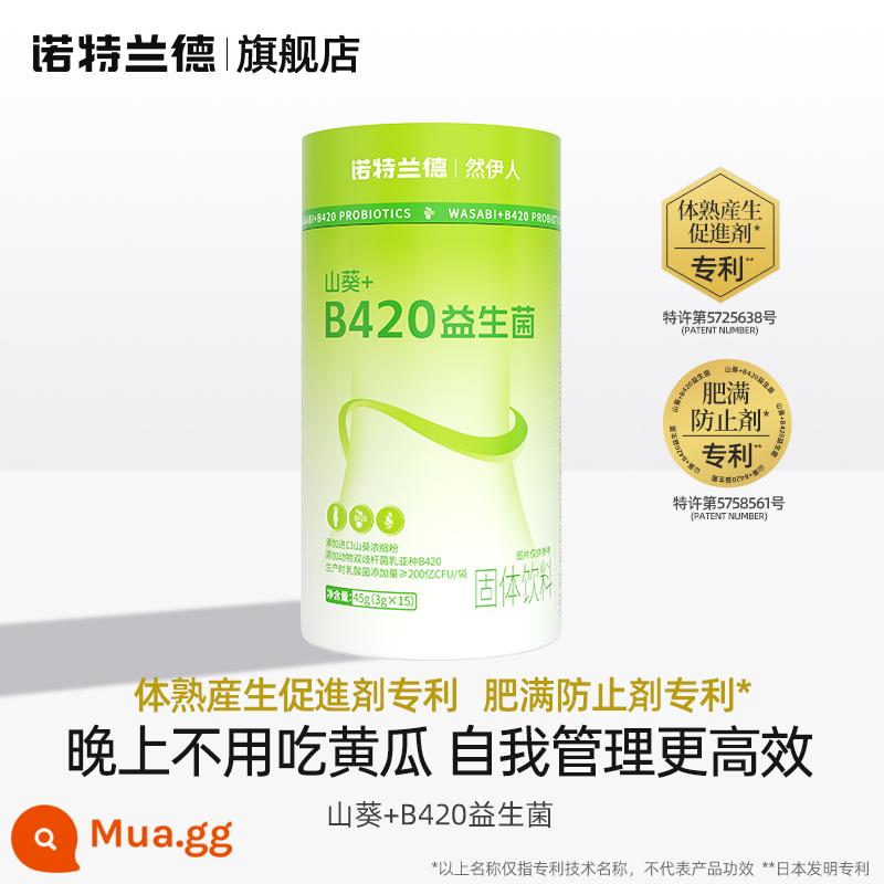 Notland Wasabi B420 Probiotic Thức uống đặc cho đường tiêu hóa Cửa hàng hàng đầu chính hãng - Gói dùng thử 1 thùng [tự quản lý]