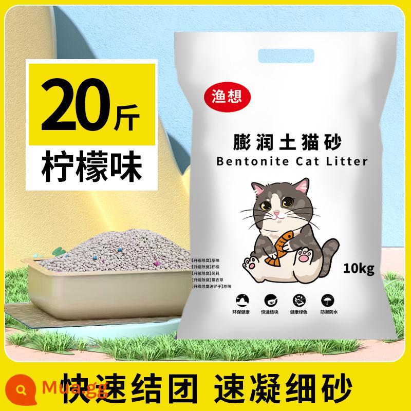 Cát vệ sinh cho mèo miễn phí vận chuyển 10kg 20kg 40kg khử mùi vón cục chanh mèo bentonite cát vệ sinh cho mèo 10kg đồ dùng cho mèo - Hương vị chanh 20 Catties