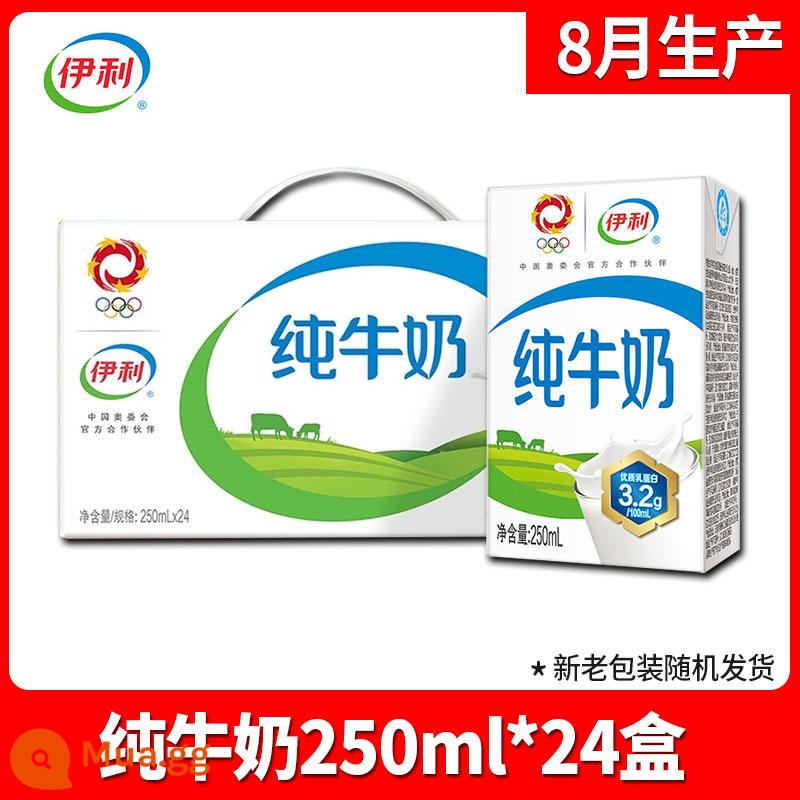 Sữa nguyên chất gạch vô trùng Yili 200ml*24 hộp nguyên hộp bán buôn giá đặc biệt đạm sữa chất lượng cao bữa sáng dinh dưỡng cho trẻ em - [Sản xuất tháng 8]Sữa nguyên chất 250ml*24 hộp