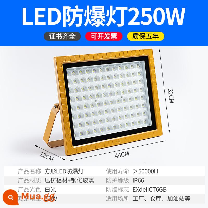 Yaming LED đèn chống cháy nổ trạm xăng nhà xưởng nhà máy hóa chất chống ăn mòn chống nước chống cháy nổ không cần bảo trì đèn pha - 250 watt - chống cháy nổ, cấu hình cao và áp suất rộng - chất lượng kỹ thuật - chống xung và chống đột biến - không cần bảo trì