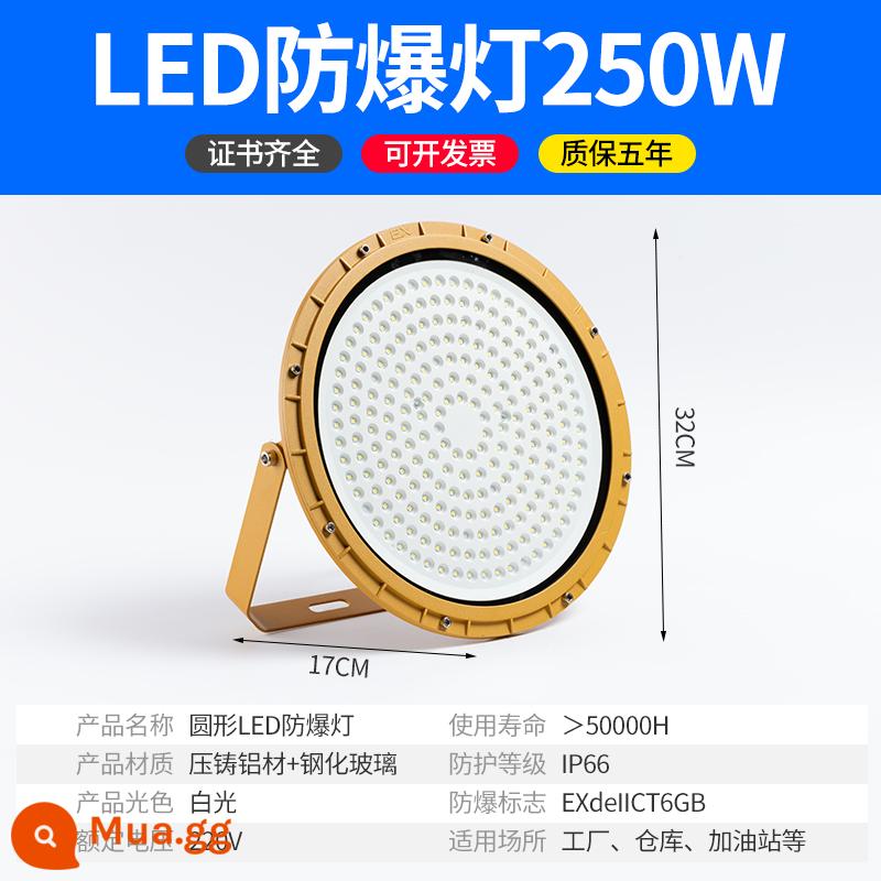 Yaming LED đèn chống cháy nổ trạm xăng nhà xưởng nhà máy hóa chất chống ăn mòn chống nước chống cháy nổ không cần bảo trì đèn pha - Vòng 250 watt - chống cháy nổ, cấu hình cao và áp suất rộng - chất lượng kỹ thuật - chống xung và chống đột biến - không cần bảo trì