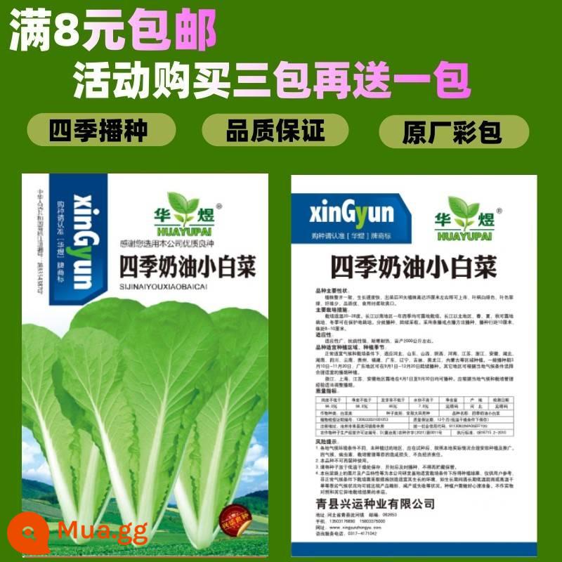 Hạt giống rau gieo vào chậu các mùa, sân ban công, rau mùi, rau xanh, dưa hấu vàng, xà lách, hẹ tây, hạt cà chua - Khoảng 1.000 hạt bắp cải bơ