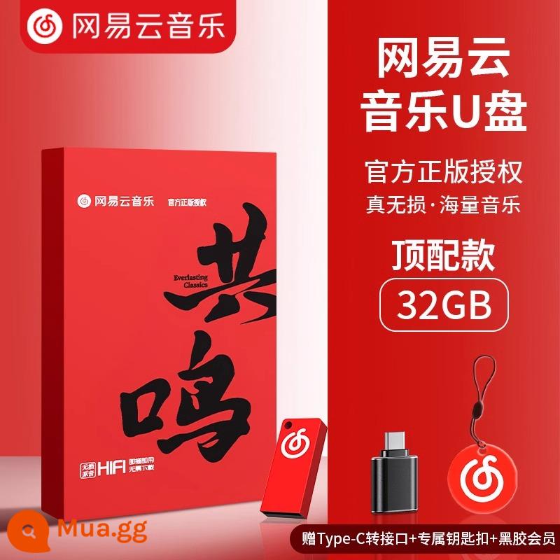 NetEase Cloud Music xe flash drive svip vinyl chất lượng cao chất lượng âm thanh không bị méo tiếng bài hát mới rung phổ biến ổ flash USB cộng hưởng - "Cộng hưởng" chọn 1.500 bài hát + tận hưởng chất lượng âm thanh không bị méo tiếng trên vinyl + thẻ thành viên NetEase Cloud Music miễn phí