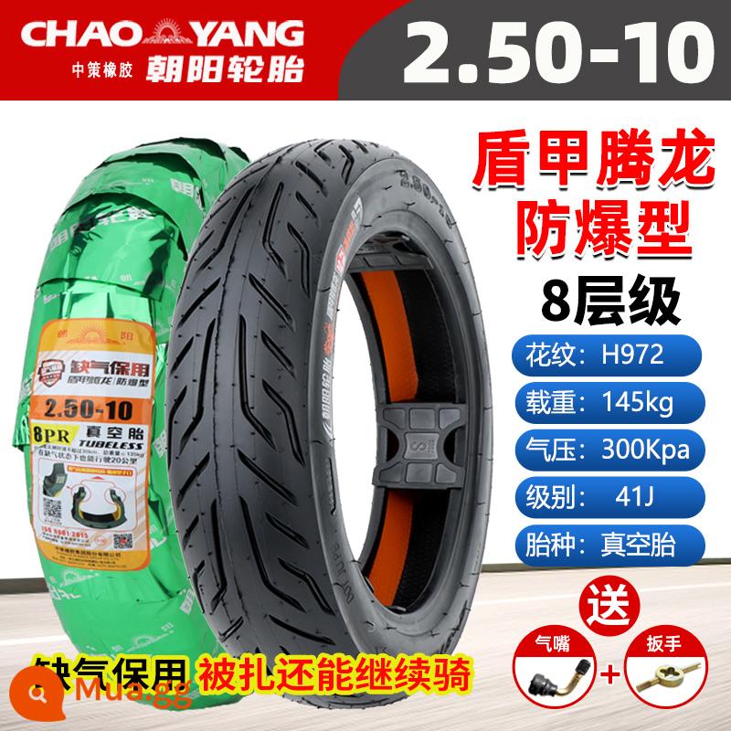 Chaoyang Tyre 3.00-10 lốp không săm xe điện 14x2.50/3.2/2.75/300-10 lốp dây thép - 2.50-10 Chaoyang 8 lớp run-flat bảo hành lốp không săm chống cháy nổ mẫu H972