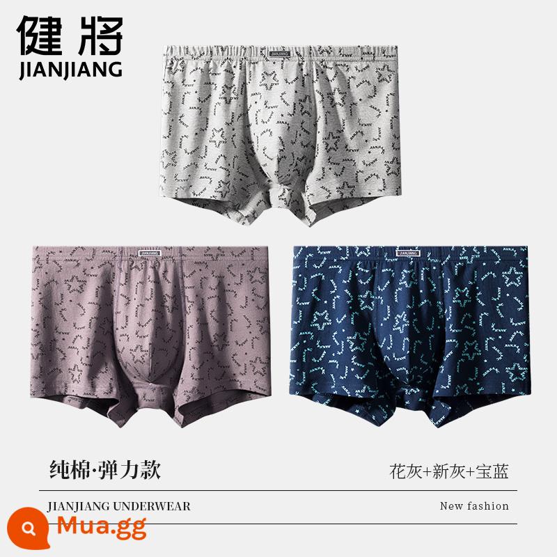 Kiến Giang Quần Lót Nam Quần Lót Boxer Nam Bé Trai Cotton Nguyên Chất Size Lớn Rời Cotton Quần Lót Boxer Nam Nam Thương Hiệu - Mẫu chữ 8L779B (xám hoa + xám mới + xanh sapphire)