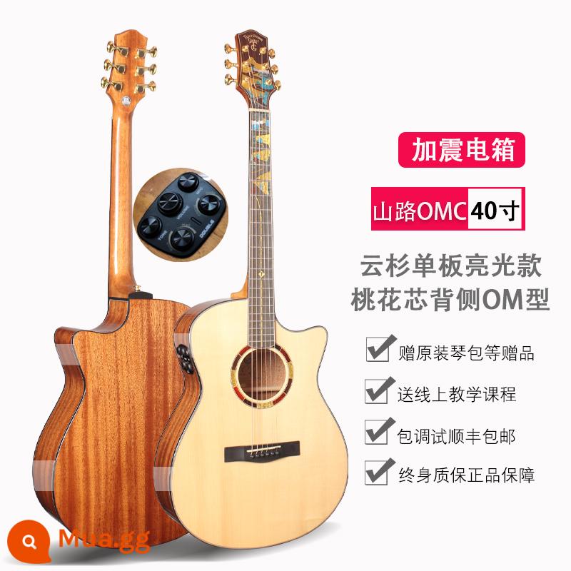 Đức Tiger Rogen đường núi dân gian đàn guitar điện hộp đàn guitar mới bắt đầu nam nữ sinh viên jita - Mô hình hộp điện rung góc sáng 40 inch Shanlu-OM loại