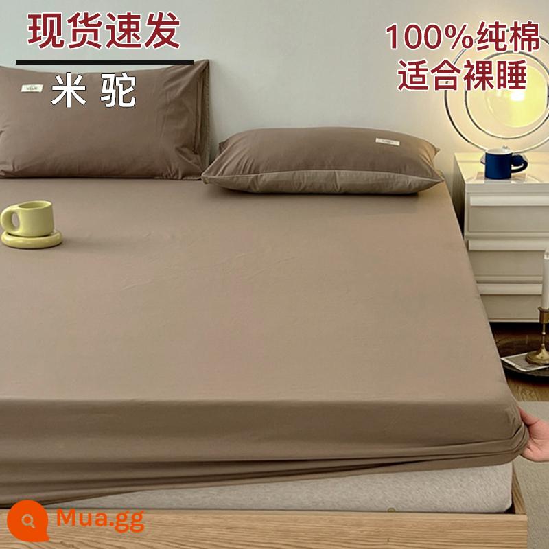 Bộ drap cotton trang bị một mảnh bộ ga trải giường mùa đông 2022 túi đựng nệm Simmons mới cotton nguyên chất ga trải giường cotton đã qua giặt sạch - Lạc đà Mi