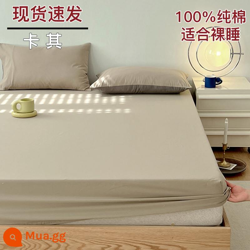 Bộ drap cotton trang bị một mảnh bộ ga trải giường mùa đông 2022 túi đựng nệm Simmons mới cotton nguyên chất ga trải giường cotton đã qua giặt sạch - Khaki