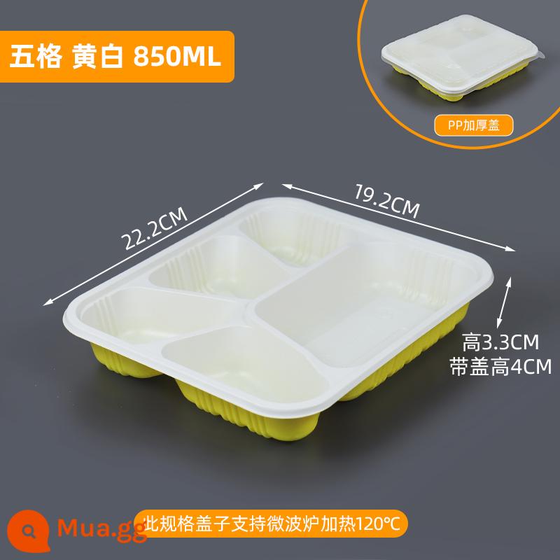 Hộp đồ ăn trưa Bữa ăn trưa, 3 -Square -Meal Hộp Hộp ăn trưa Hộp ba người - Năm ngăn có bìa PP dày, một nghìn bộ, màu vàng và trắng