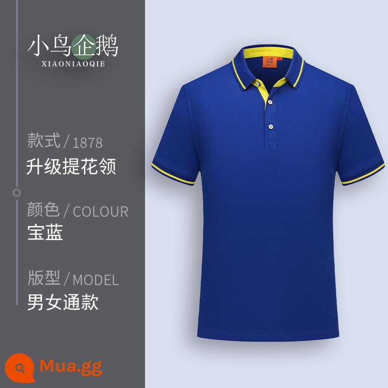 Quần áo làm việc tùy chỉnh T-shirt quần áo làm việc tùy chỉnh-thực hiện đội mùa hè cotton văn hóa quảng cáo áo POLO ngắn tay in LOGO - D màu xanh sapphire