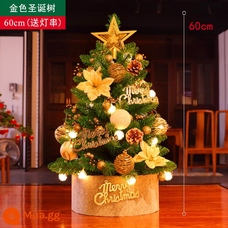 Tiansheng Hàn Quốc Phiên bản Mini Tree Christmas Tree Home đặt bữa ăn Giáng sinh Trang trí đồ trang trí sáng tạo đồ trang trí sáng tạo - Mô hình vàng 60 cm [tặng cây và dây đèn miễn phí]