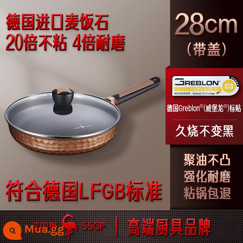 SSGP Đức nhập khẩu chảo, lò nung điện gia đình không có mặt - 28cm có nắp/3-6 người