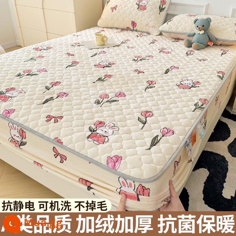 Nhung sữa chần bông trang bị tấm đơn mảnh san hô flannel trải giường mùa đông dày Simmons nệm giường túi trải giường - Thời kỳ ra hoa của hoa tulip [Kháng khuẩn loại A/ấm áp và không rụng lông]