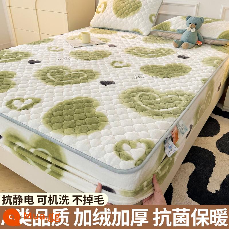 Nhung sữa chần bông trang bị tấm đơn mảnh san hô flannel trải giường mùa đông dày Simmons nệm giường túi trải giường - Xiaoqingqiao [Kháng khuẩn loại A/ấm áp và không rụng lông]