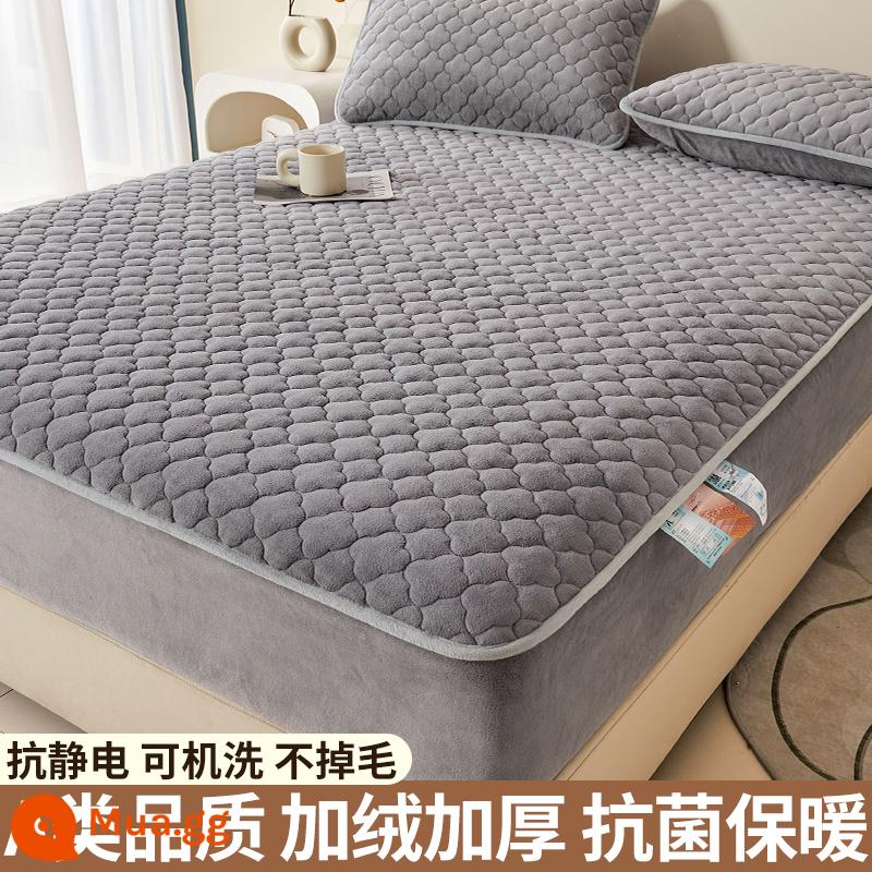 Nhung sữa chần bông trang bị tấm đơn mảnh san hô flannel trải giường mùa đông dày Simmons nệm giường túi trải giường - Muội [Kháng khuẩn loại A/ấm áp và không bong tróc]