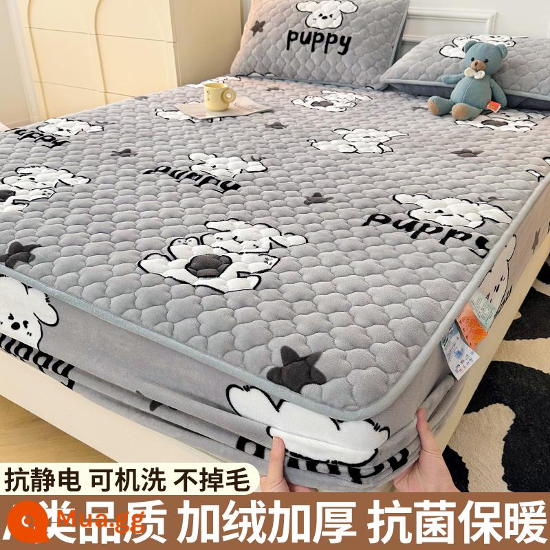 Nhung sữa chần bông trang bị tấm đơn mảnh san hô flannel trải giường mùa đông dày Simmons nệm giường túi trải giường - Chó Pippi [Kháng khuẩn/ấm áp và không rụng lông loại A]