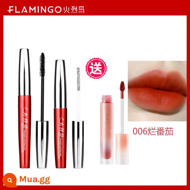 Mascara Flamingo ghép mã hóa dày đặc làm cong mảnh mai lâu trôi không thấm nước không lem mi mắt nữ lưới đỏ chính hãng - Flamingo (Incredible) + Flamingo Lip Glaze 006# Rotten Tomatoes