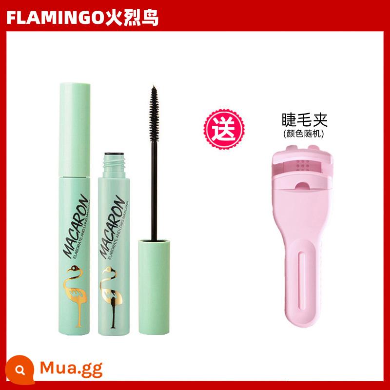 Hạc Mascara mắt nữ chống thấm nước không lem đầu cọ nhỏ lưới đỏ chân thực thanh mảnh dày cong khuôn mẫu - Flamingo Slim (Xanh) + Dụng cụ bấm mi