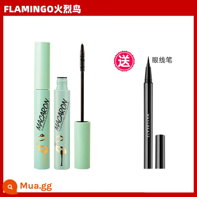 Hạc Mascara mắt nữ chống thấm nước không lem đầu cọ nhỏ lưới đỏ chân thực thanh mảnh dày cong khuôn mẫu - Flamingo Slim (Xanh) + Kẻ Mắt