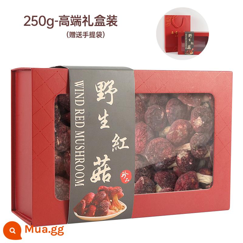 SANMING SANMING XUỐNG RED RED MUSHOROM DRY HÀNG HÀNG FUJIAN BLUE BẮT - 251g