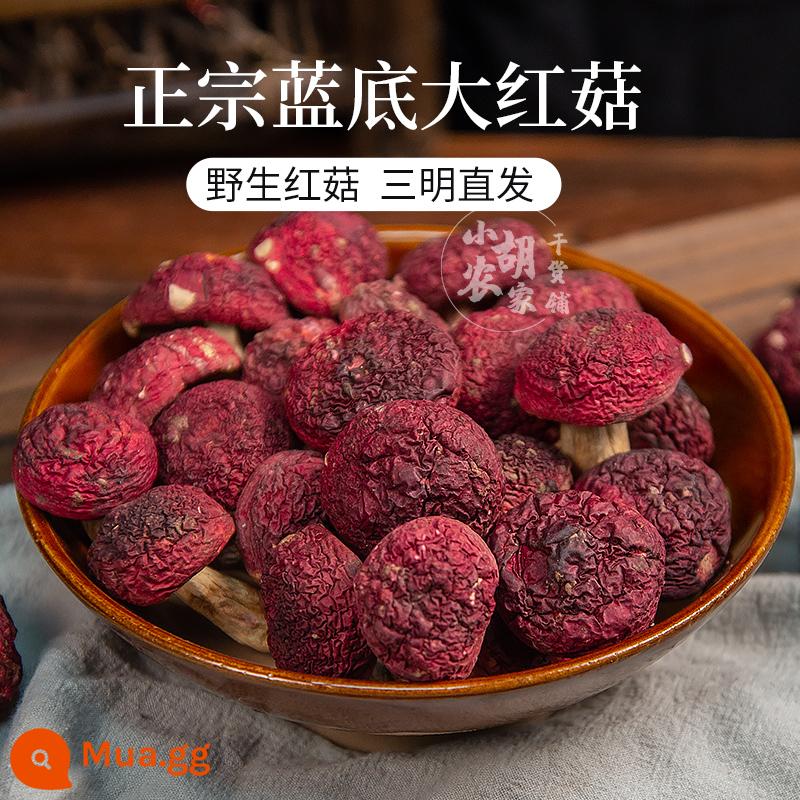 SANMING SANMING XUỐNG RED RED MUSHOROM DRY HÀNG HÀNG FUJIAN BLUE BẮT - 250g